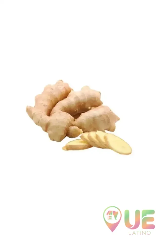 Ginger / Kion